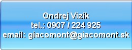Ondrej Vizik 